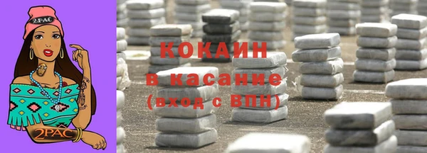 шишки Елизово