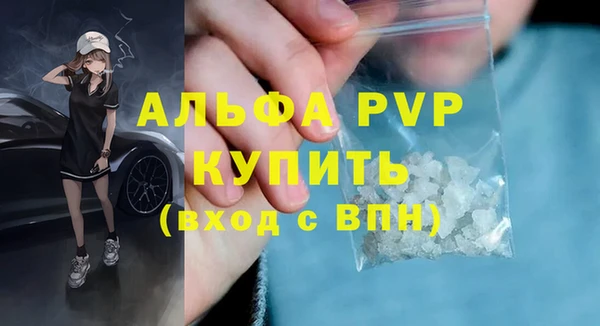 шишки Елизово
