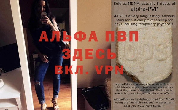 шишки Елизово