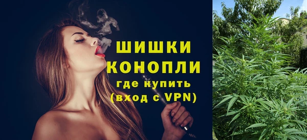 шишки Елизово