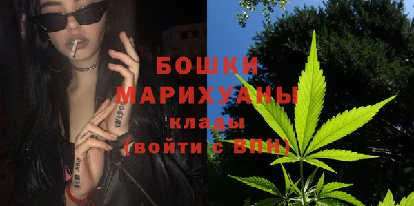 шишки Елизово
