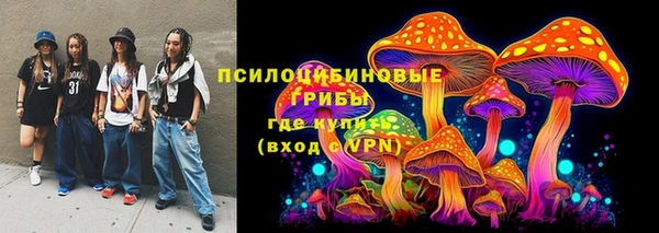 марки nbome Ельня